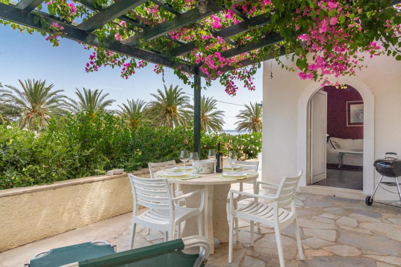 Bougainvillea House In Crete سيتيا المظهر الخارجي الصورة