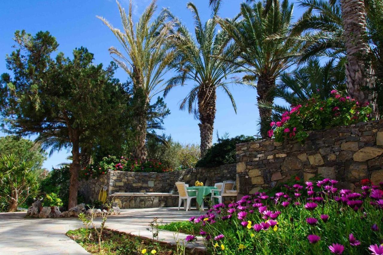 Bougainvillea House In Crete سيتيا المظهر الخارجي الصورة